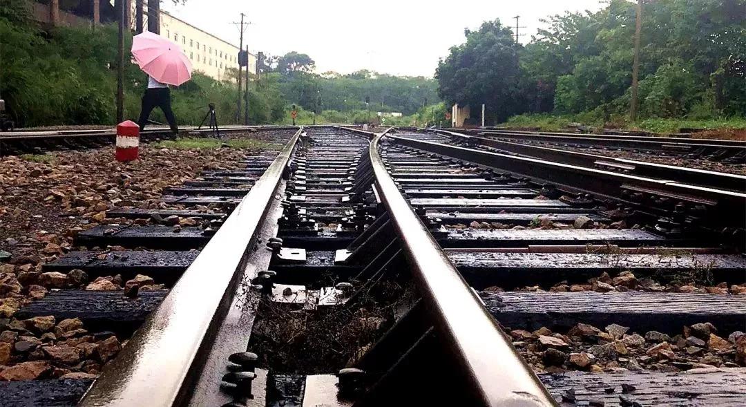 昌江原生态热带雨林森林秘境,海南万宁一个被大自然宠爱的地方