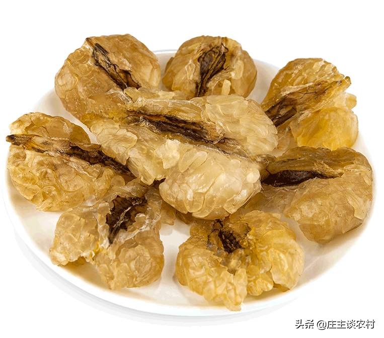 世界上最贵的几种食材有哪些,世界上最贵最顶级的食材