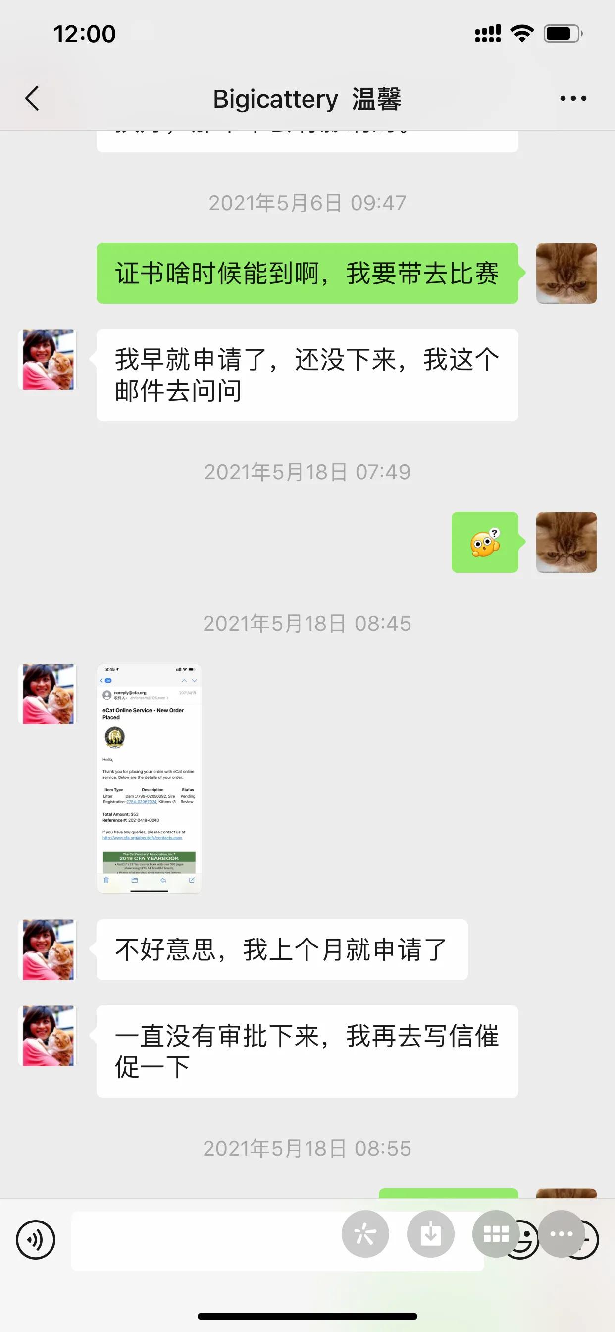 广州猫舍买英短猫,必读猫小屋家购猫流程