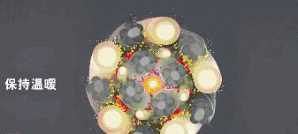 适合微胖穿的德绒背心,德绒保暖背心清仓