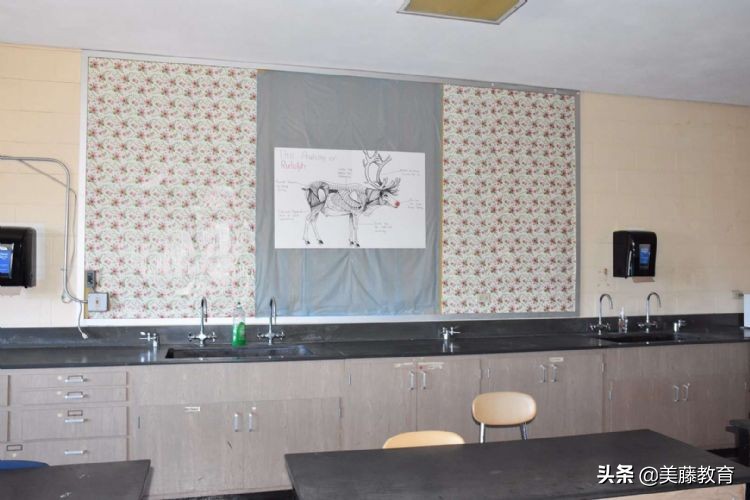 加利福尼亚大学伯克利分校排名,加州大学伯克利分校数学排名