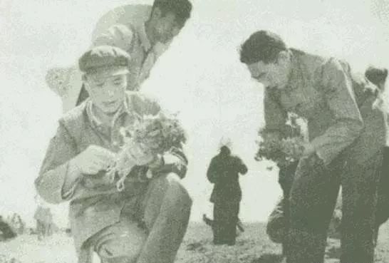 386旅将军名单,386旅发展出来的部队有哪些