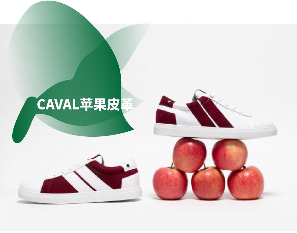 蕾哈娜菠萝纹的服装,蕾哈娜服装品牌