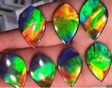 神奇贝壳料理,神奇的贝壳