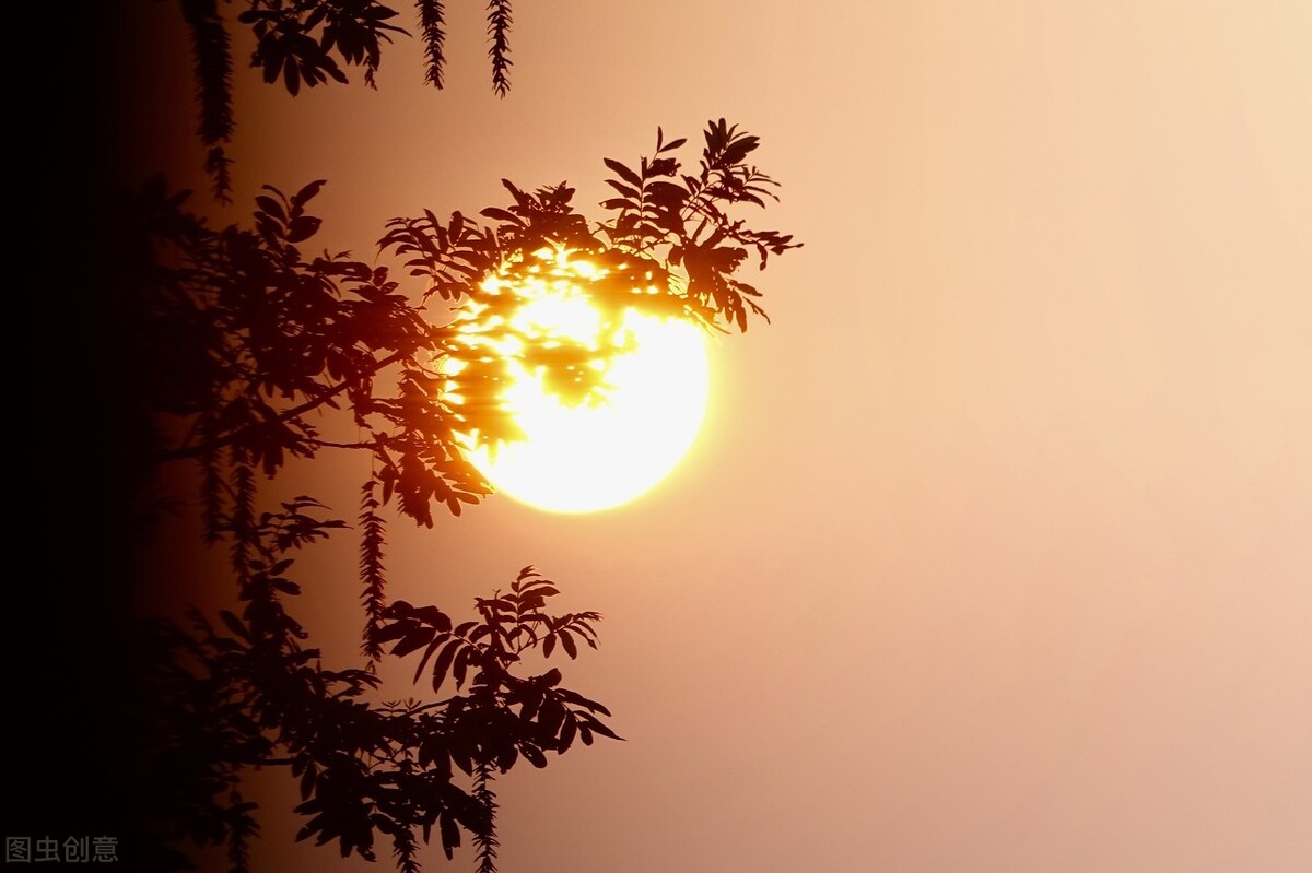 关于月亮的唯美古诗词名句,关于月亮的唯美句子古诗