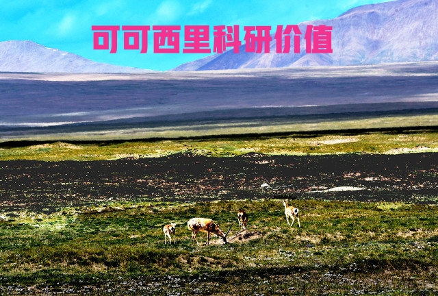 可可西里与可可托海的区别,不去可可托海去哪