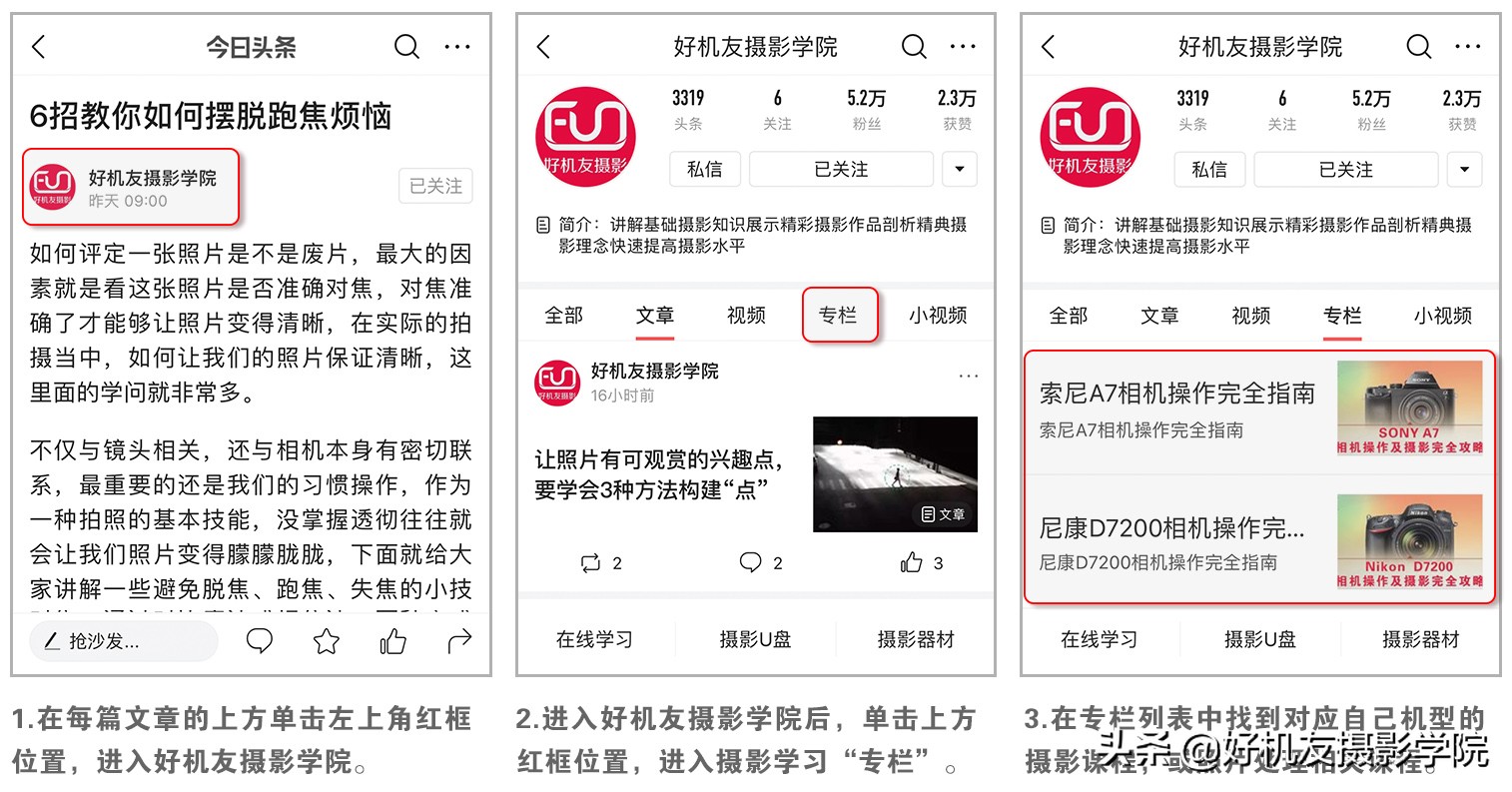 景深后期怎么合成照片,如何拍出前虚后实的景深照片