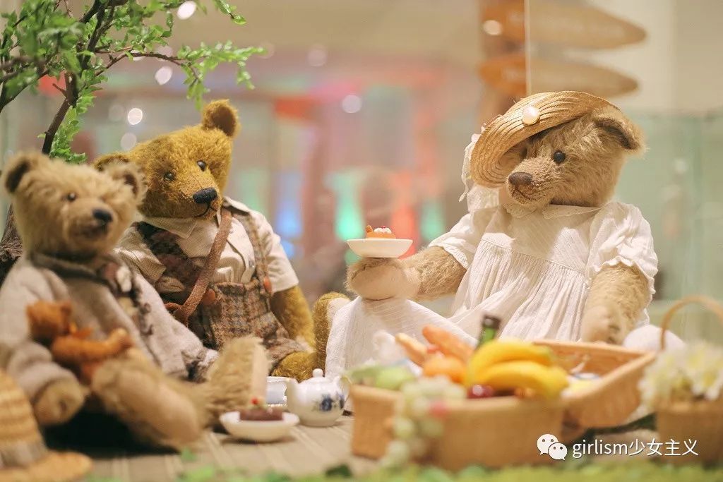 世界上最美丽的泰迪熊,最可爱的泰迪熊