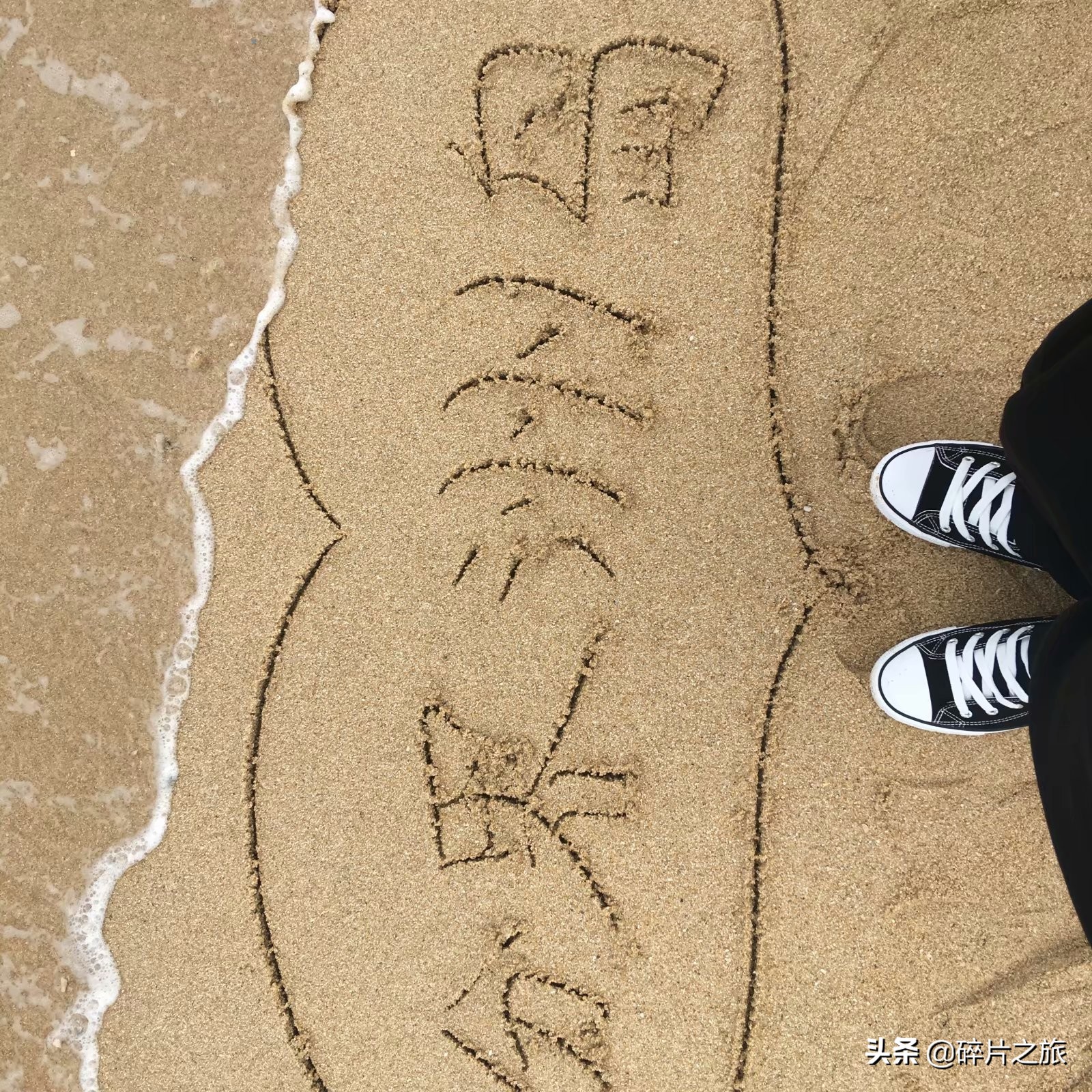 攻略三亚景区,攻略三亚亲子游