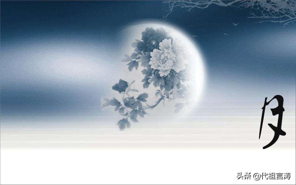 水调歌头明月几时有赏析文章,水调歌头明月几时有赏析及答案