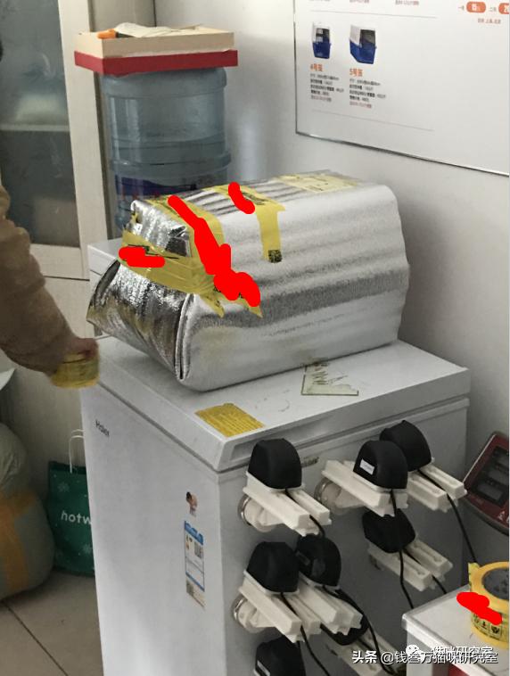 宠物托运全过程狗狗,宠物托运全过程国外