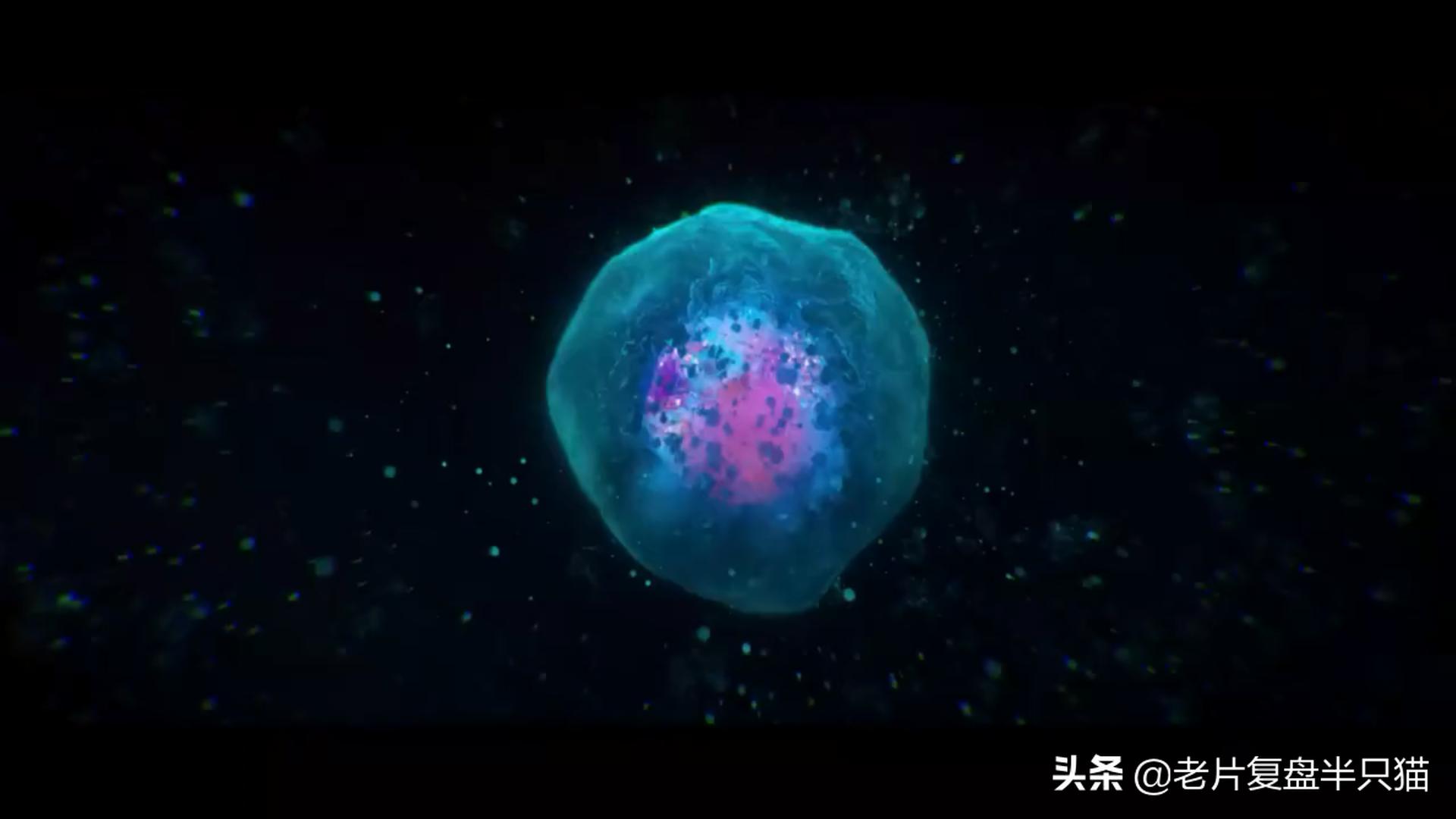 超体跟寡姐有关系吗,超体是寡姐演的吗