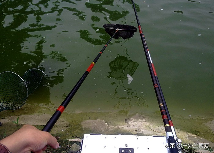 经常钓黑坑的人会怎么样,黑坑怎么做到钓不上鱼呢