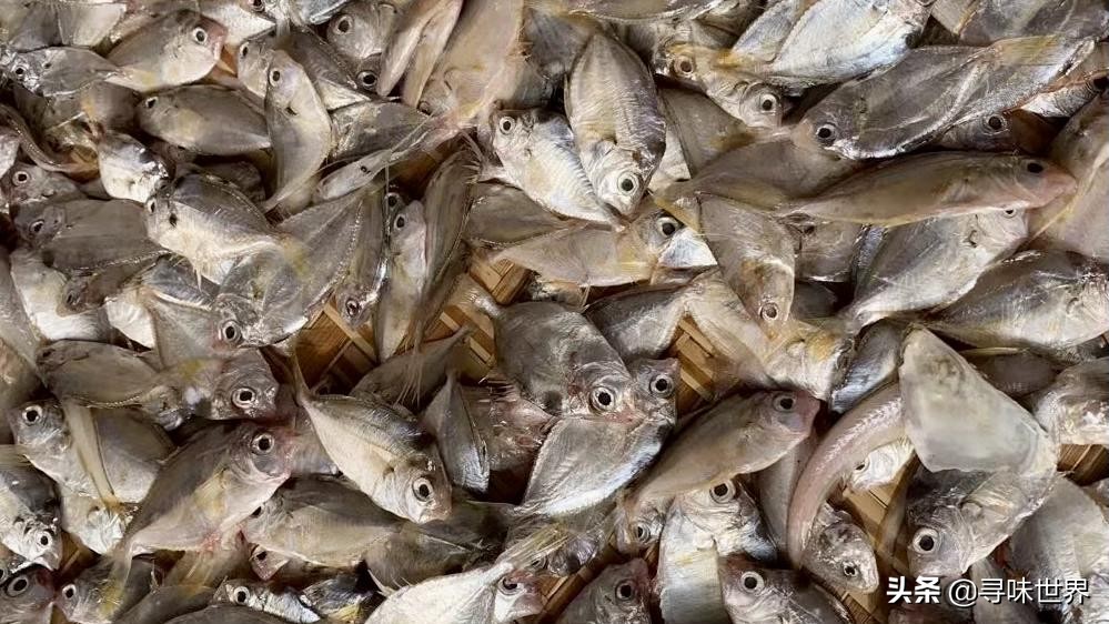 内行人买鱼,买鱼时内行人专买的5种鱼