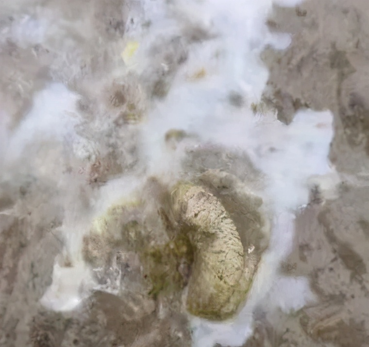 蛋鸭大肠杆菌怎么治疗,产蛋鸭大肠杆菌特效药