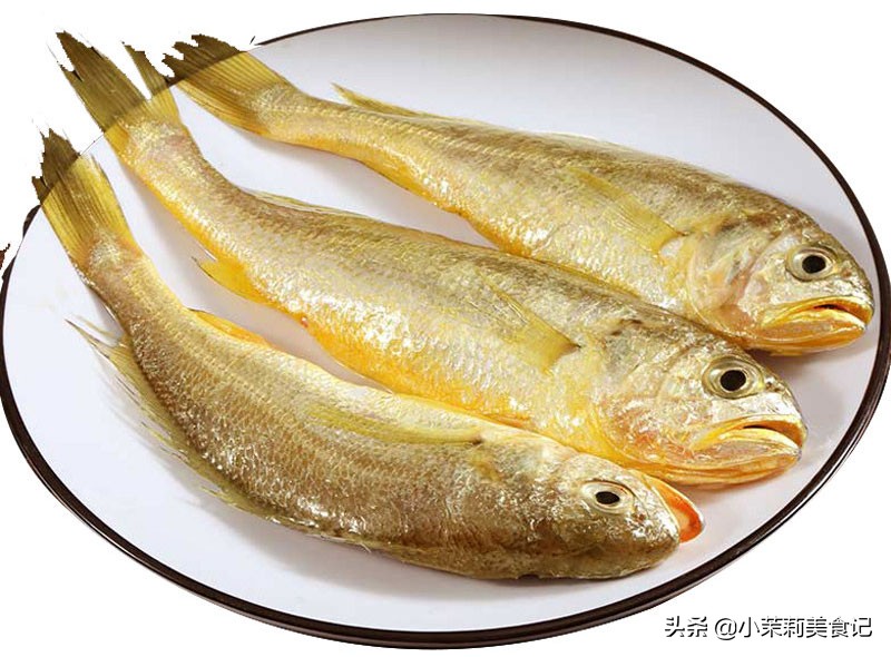 冬季吃鱼吃什么鱼最好,冬天多吃鱼应该少吃什么鱼