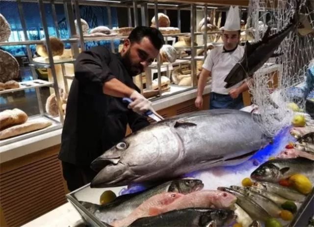 为什么迪拜人有钱,迪拜有多有钱视频