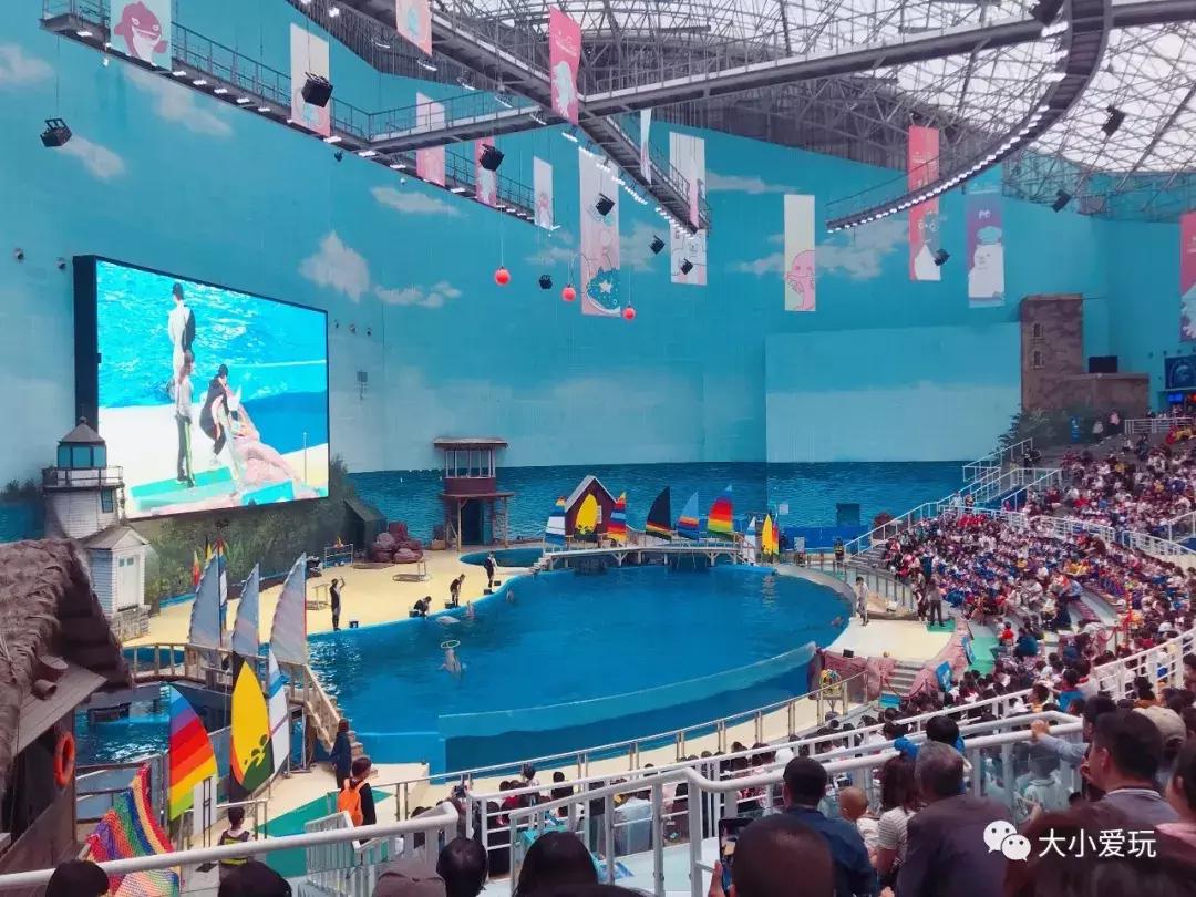 开放首日实探国家海洋博物馆，史上最抢手博物馆究竟长什么样