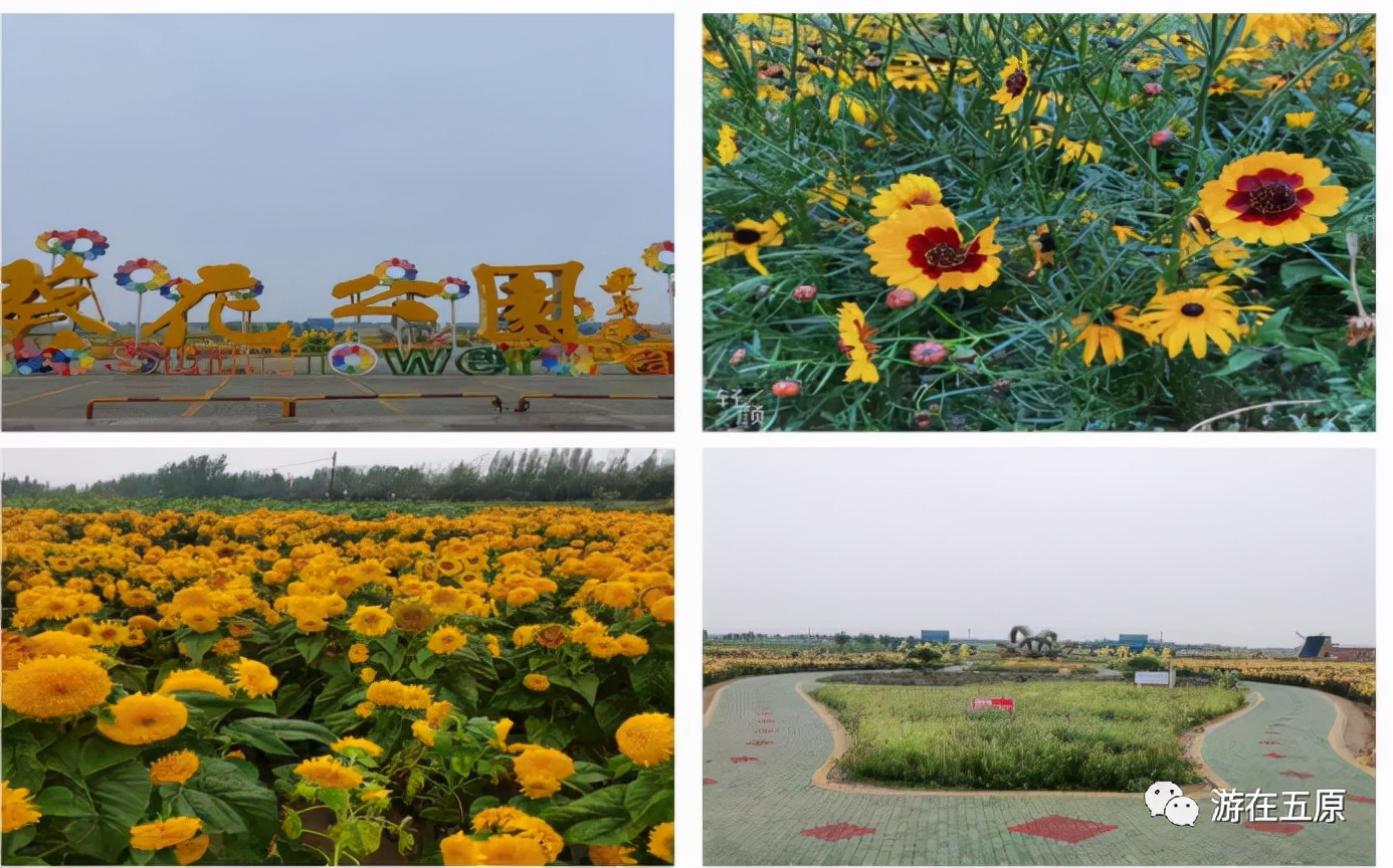 十一不出行,十一不堵车的路线