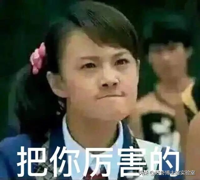 重温一起来看流星雨，我发现了许多之前没注意的bug