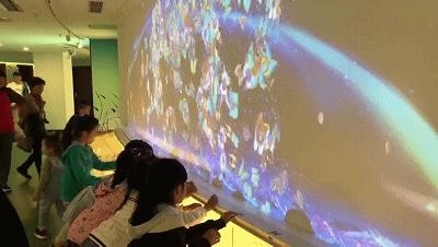 青岛贝林自然博物馆,青岛贝林博物馆门票优惠政策