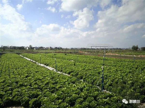 五一麒麟区旅游,麒麟坊哪里好玩