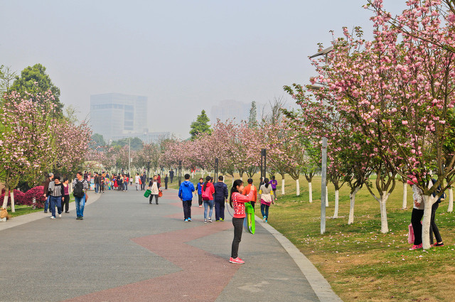 成都双流房价还会降吗2024年,成都双流的房价会涨还是跌呀