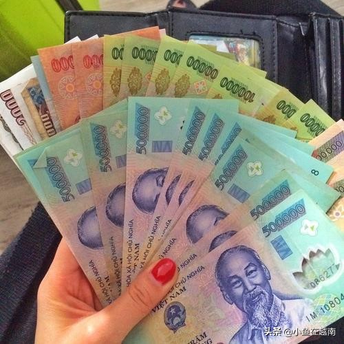 越南签证攻略,在国内办越南签证流程及费用