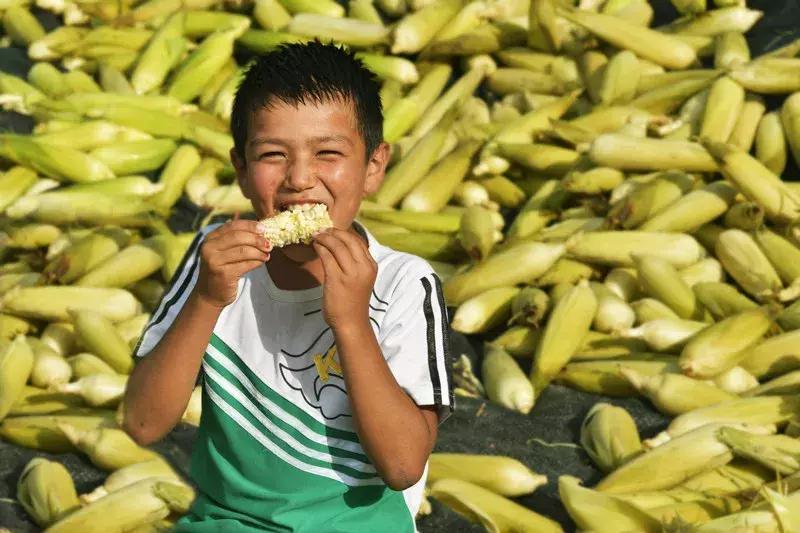 国家认证！*疆新**又一城市成为“中国天然氧吧”，大自然“空调房”就在……