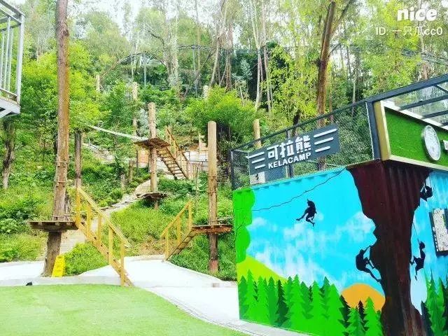 可拉熊丛林探险基地,深圳可拉熊丛林探险营地