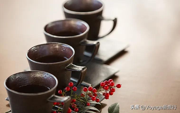 日本星野温泉酒店,日式旅馆星野度假村