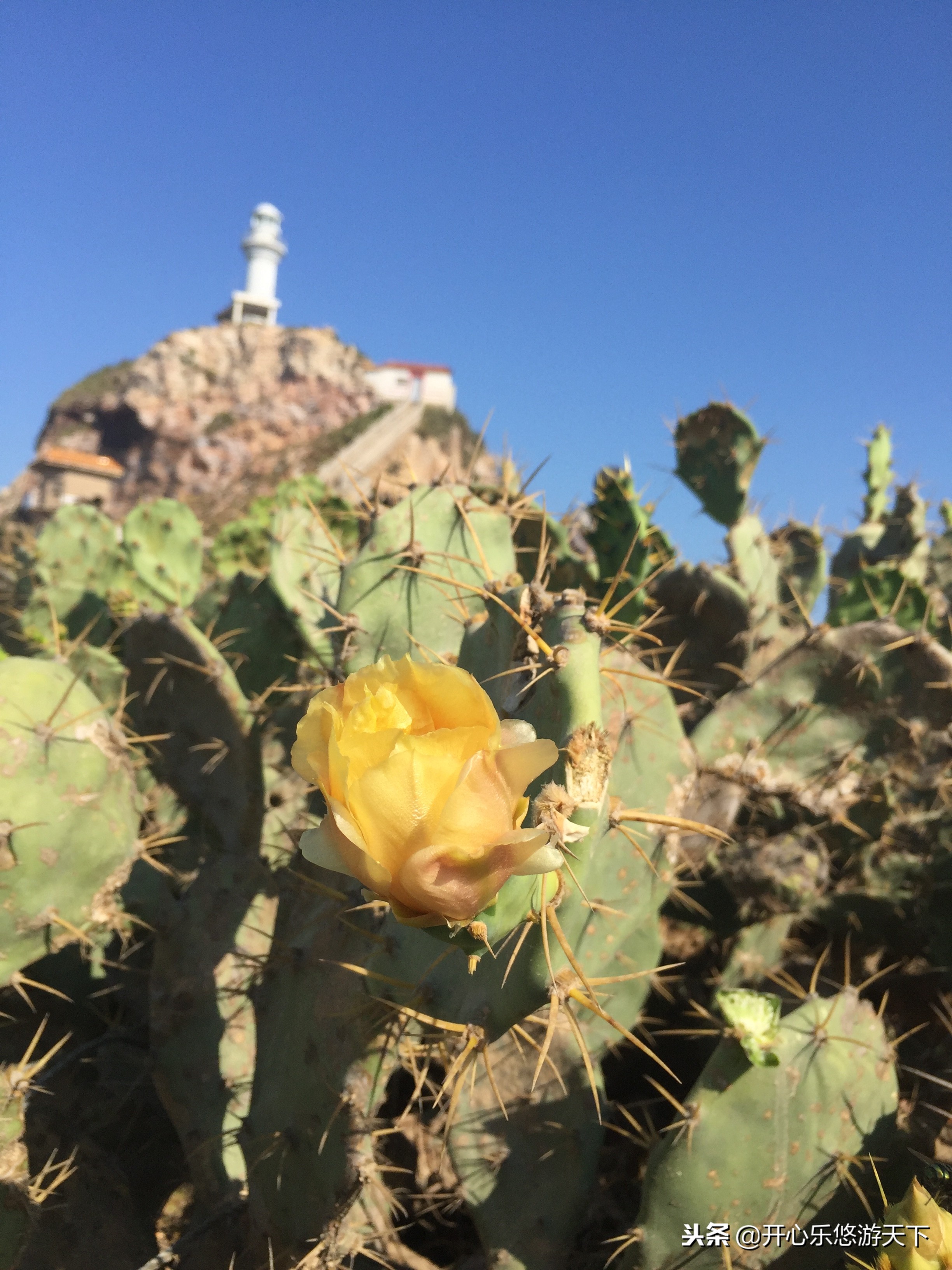 床车自驾海南环岛游视频,床车自驾海南