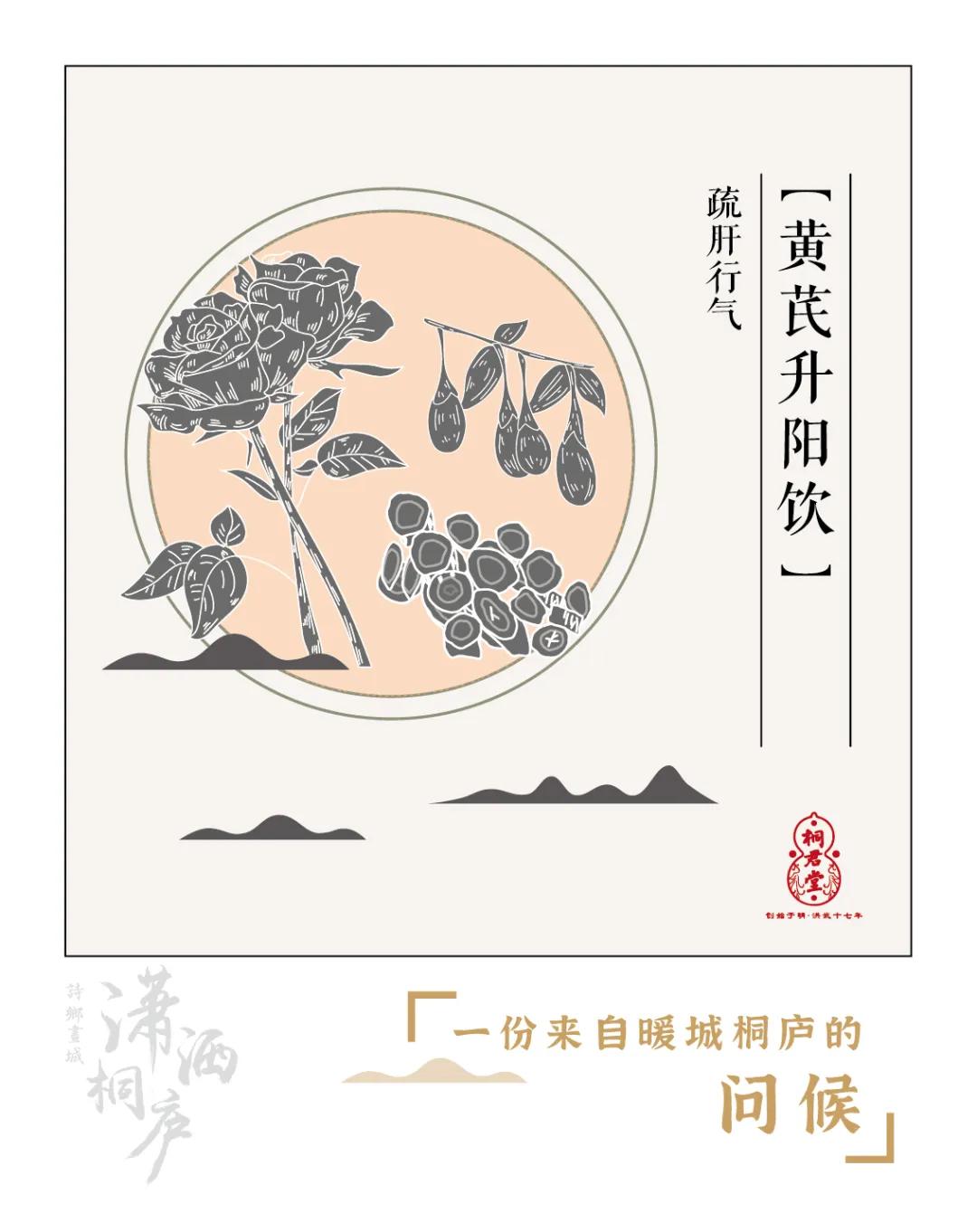 桐君养生包,桐君仁医中药包