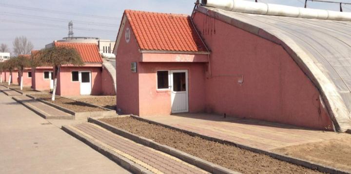 大棚建设的最新方法,大棚建设的各种方法