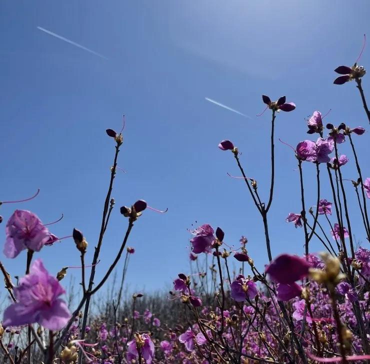 溪游记横岗店,溪游记竹窠