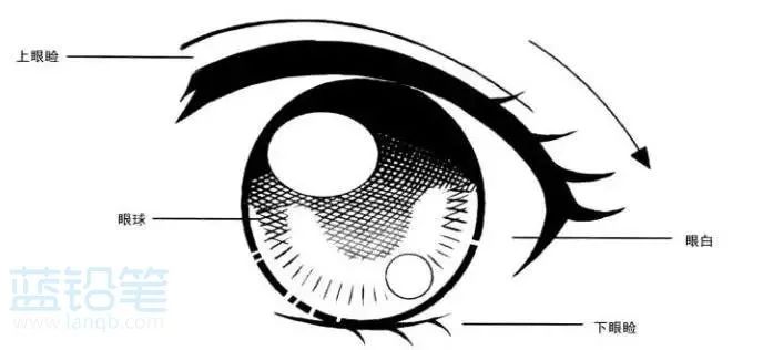 女生人物绘画技巧—少女篇，再也不怕是小萝莉还是御女傻傻分不清