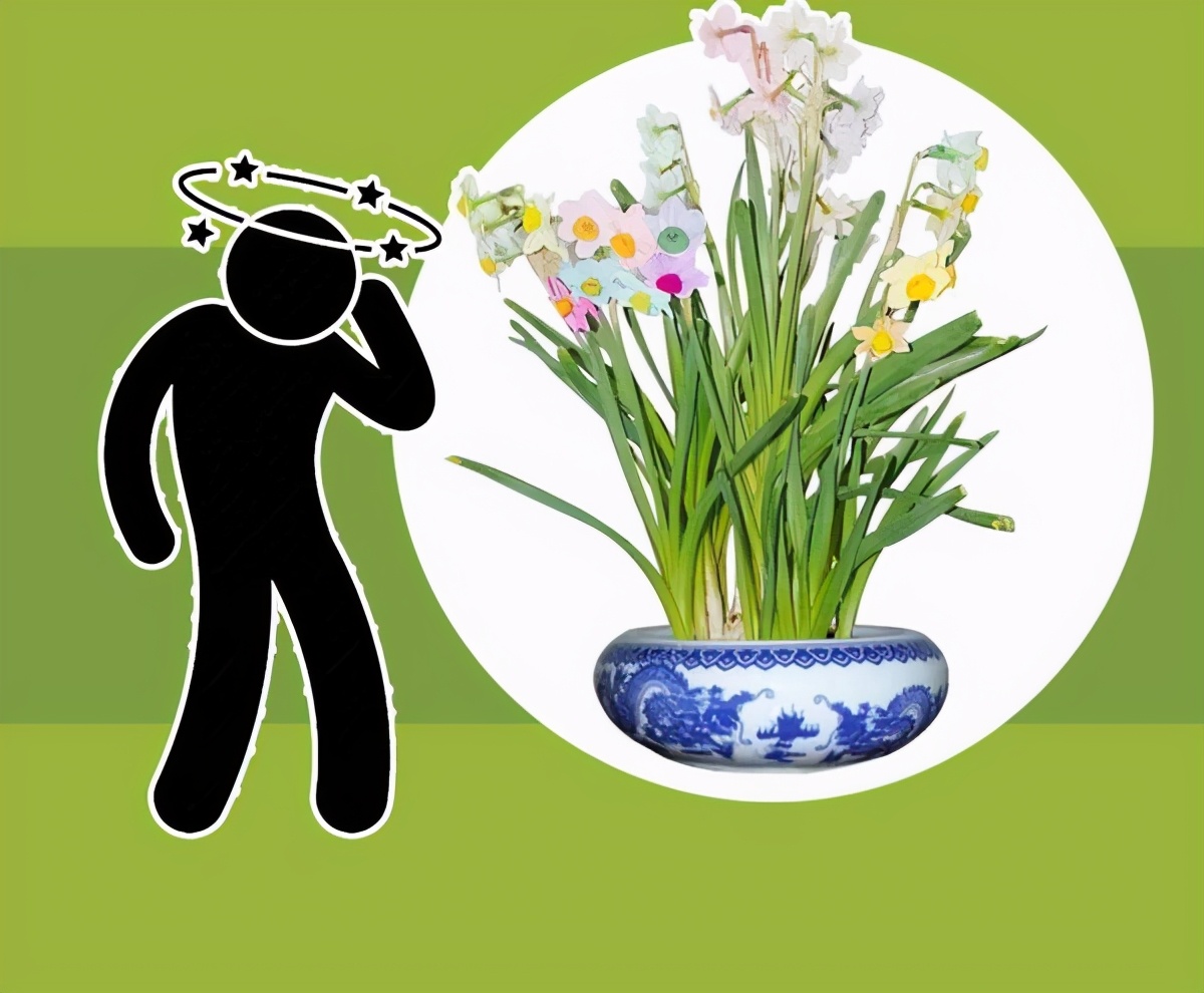 秋天即将来临夏天的蚊子都去哪了,为什么有人说秋天的蚊子最凶猛