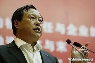 孙大午事件对企业家影响,农民企业家孙大午事件