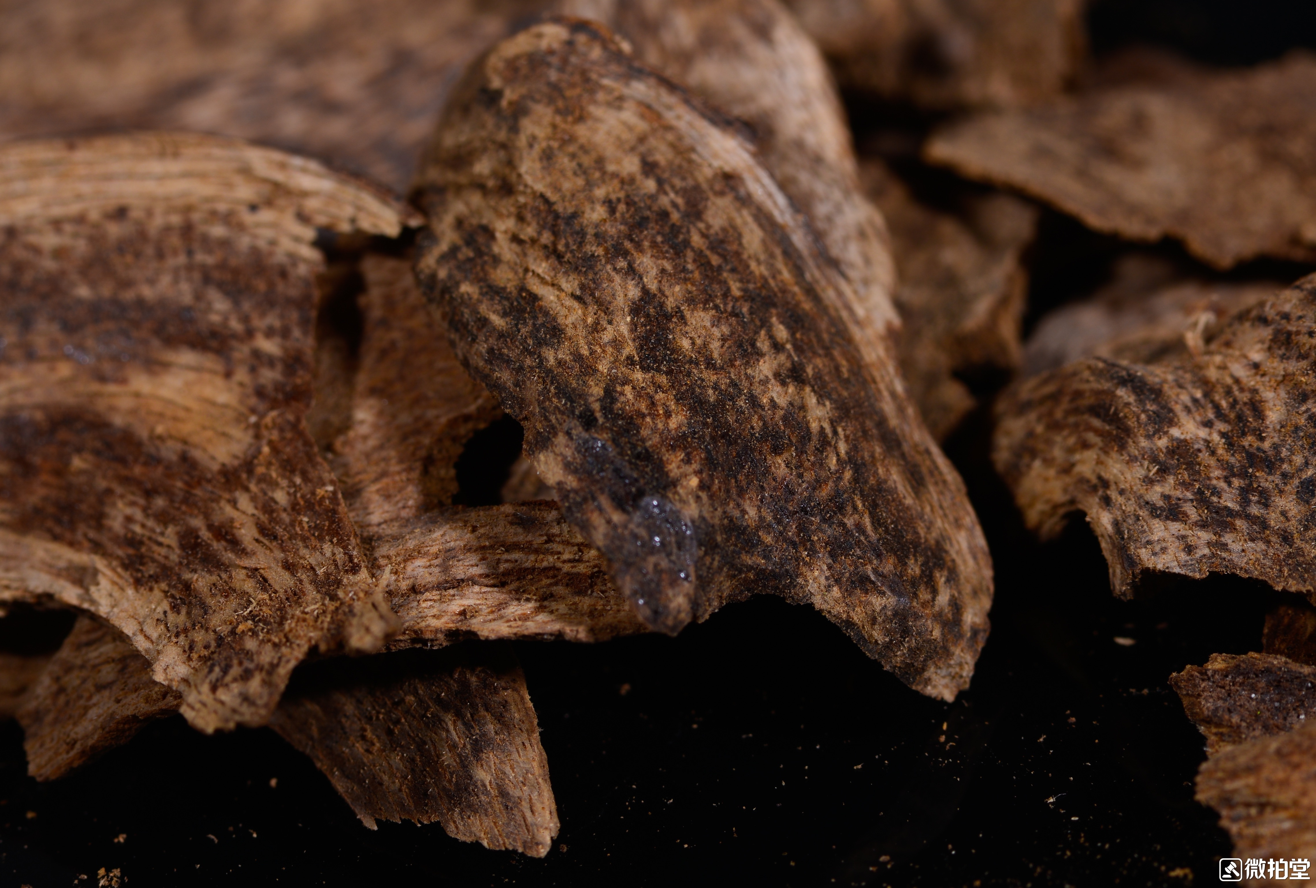 沉香好还是崖柏好,沉香檀香崖柏排名