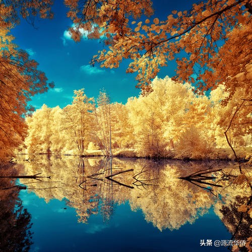 人生哲理讽刺讨厌的人,富有人生哲理的句子赏析