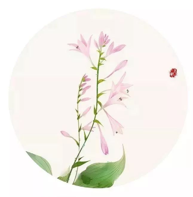 你的名字藏着最美诗句,你的名字里藏着最美的诗词