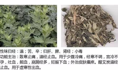 常用中草药名称大全图片及药效,常用中草药药效大全