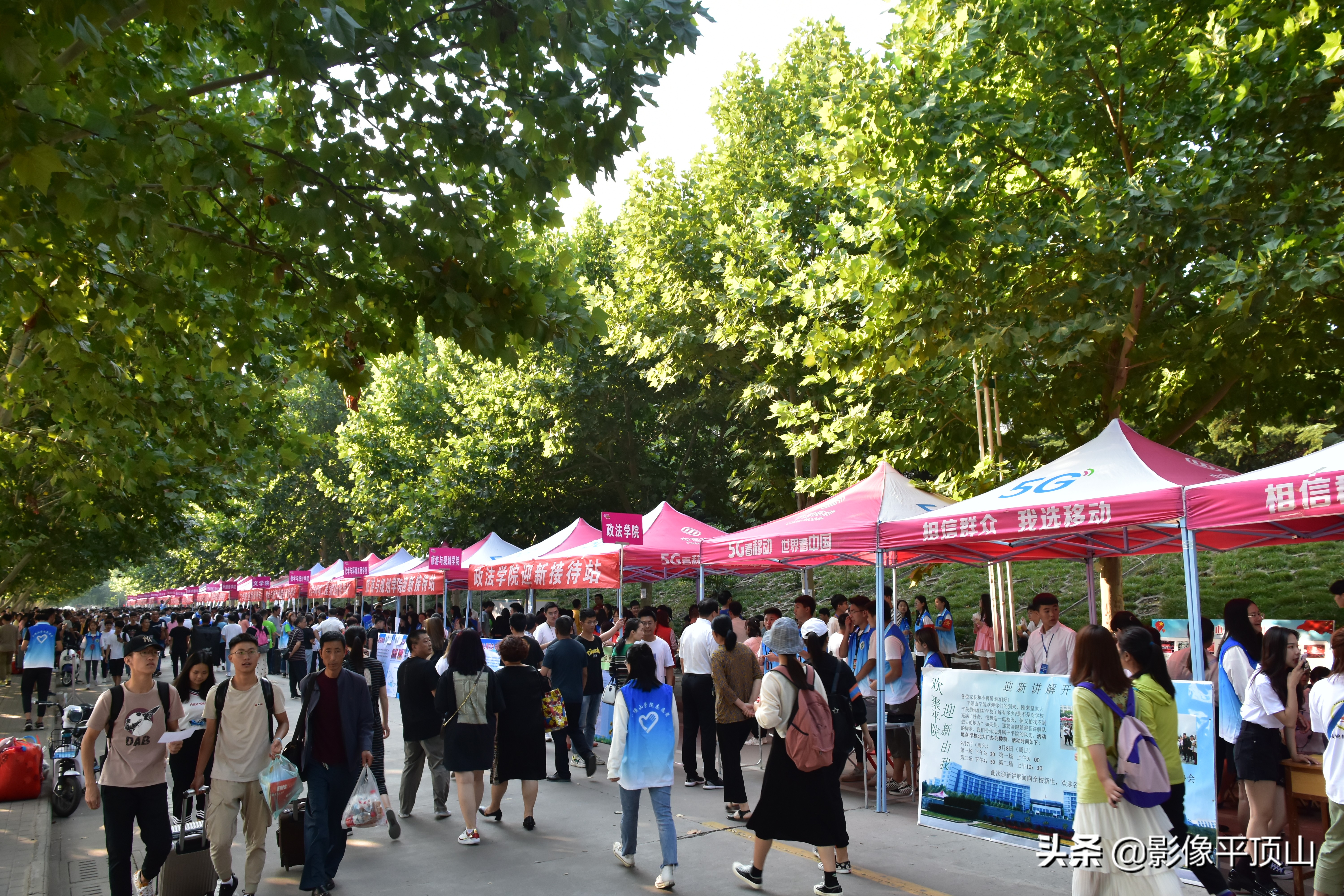 平顶山学院贴心服务齐力迎新生