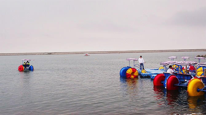 上海金山区有没有免费的沙滩,上海金山沙滩
