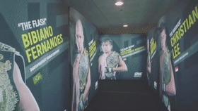 mg世界观完整视频,mg进化史完整版过程