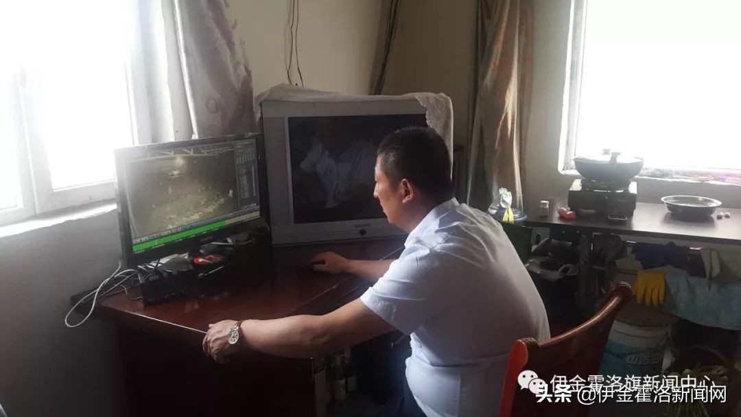 高军养鹅家庭农场,养獾创业致富