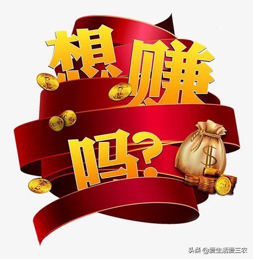 10w块钱创业什么比较好赚钱,几百块钱可以做什么小本生意