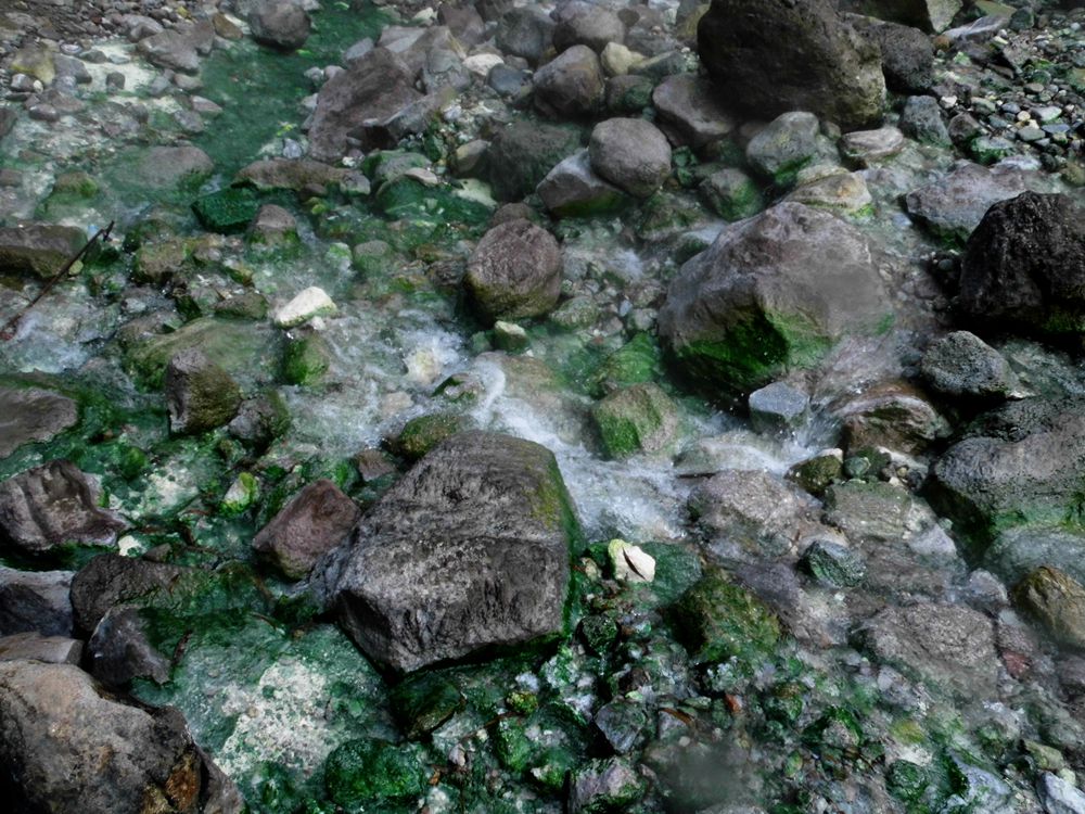 菲律宾游散记（46）-杜马盖地（4）：火山口真正的温泉