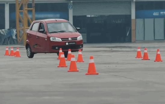 出门遇到这“街头流氓”,我劝你快逃