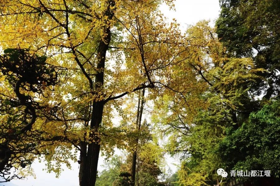 在古村落拍照怎么摆姿势好看,在古堰拍照姿势